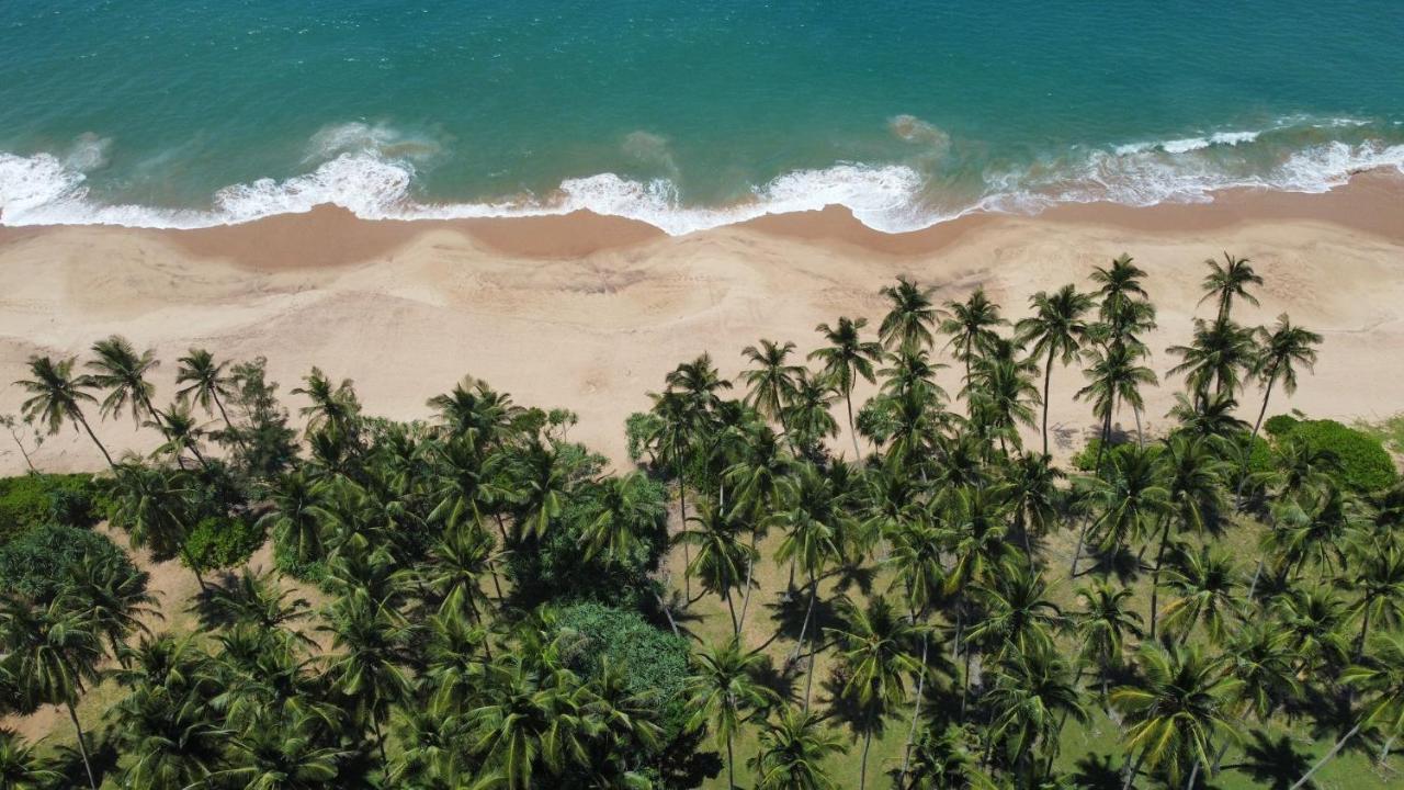 Gasthuis Sea Breeze Garden Tangalle